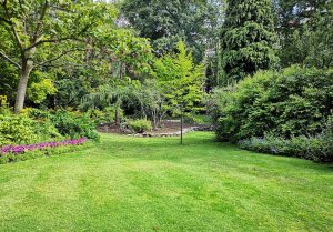 Optimiser l'expérience du jardin à Chemery-les-Deux